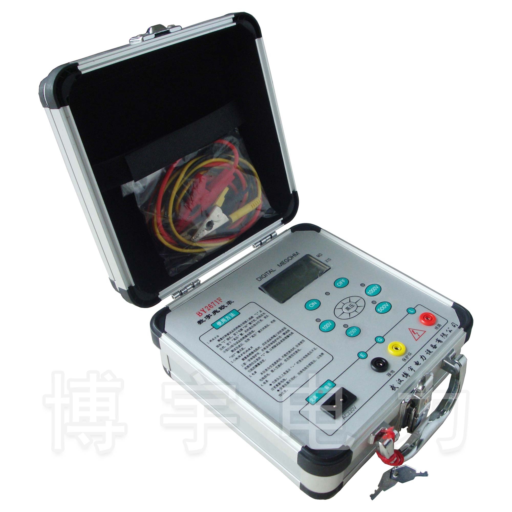 �����ךW��(1000V)